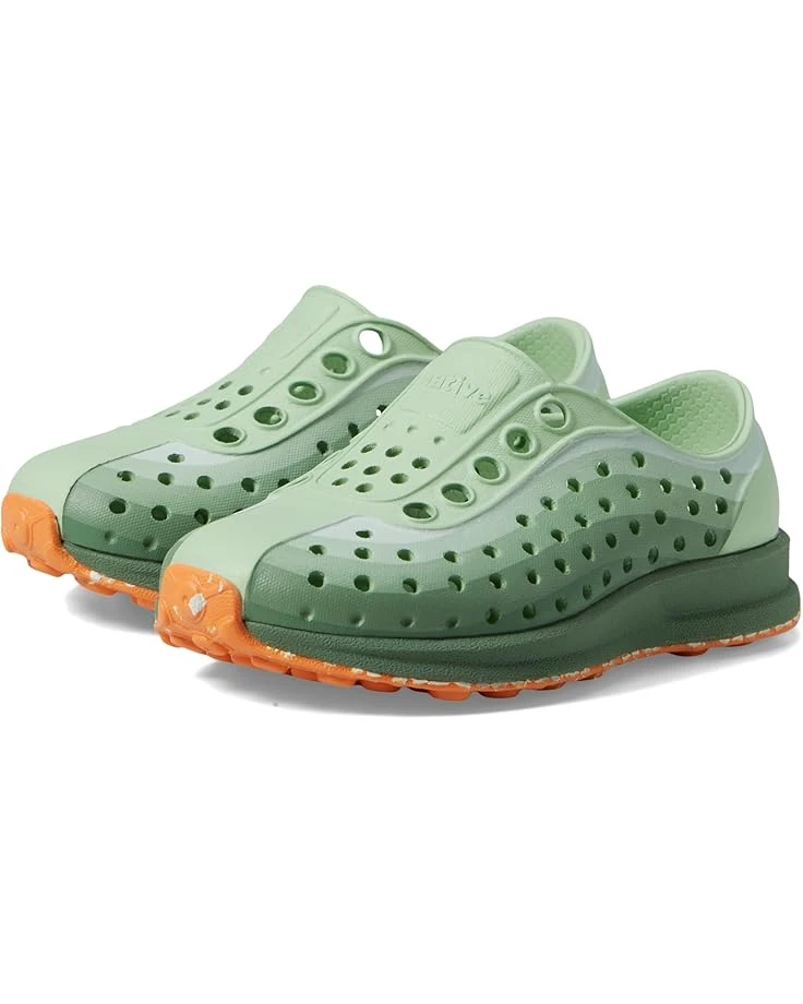 Native Shoes Kids Robbie Print (Toddler) | Sneakers & Athletic Shoes - Image 7