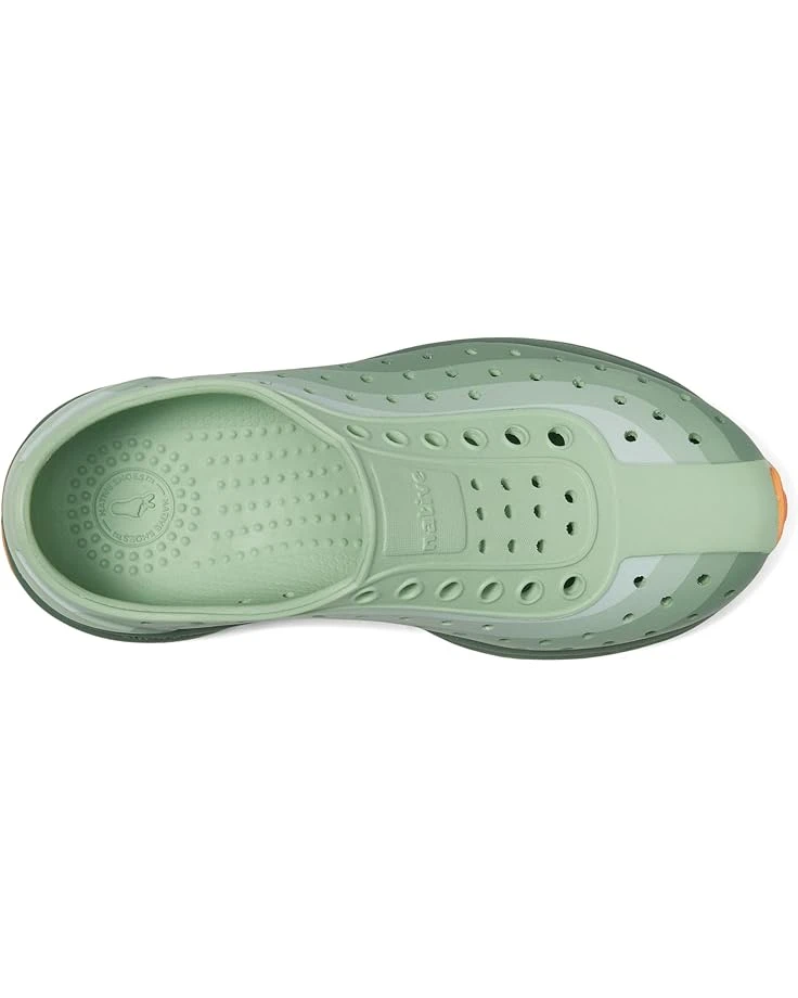 Native Shoes Kids Robbie Print (Little Kid/Big Kid) | Sneakers & Athletic Shoes - Image 2