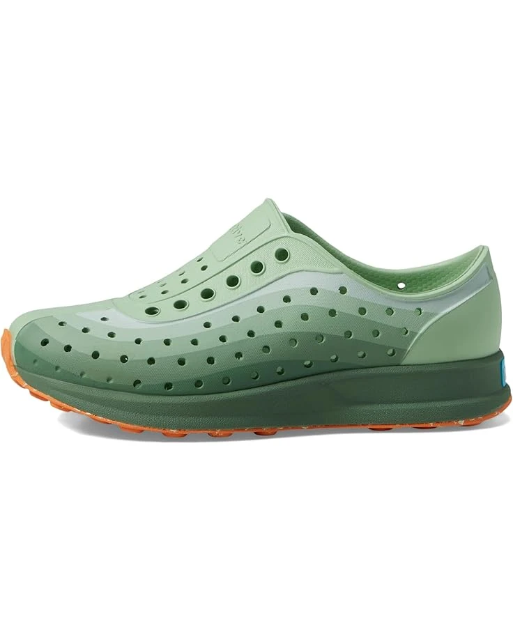 Native Shoes Kids Robbie Print (Little Kid/Big Kid) | Sneakers & Athletic Shoes - Image 4