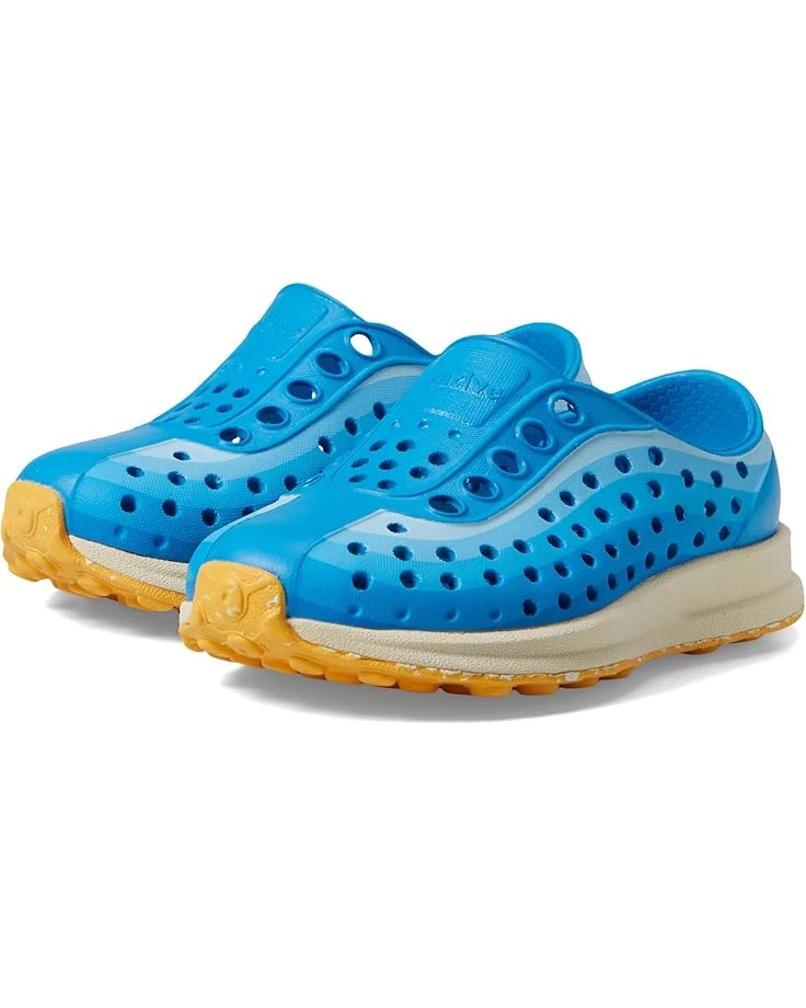 Native Shoes Kids Robbie Print (Toddler) | Sneakers & Athletic Shoes - Image 10