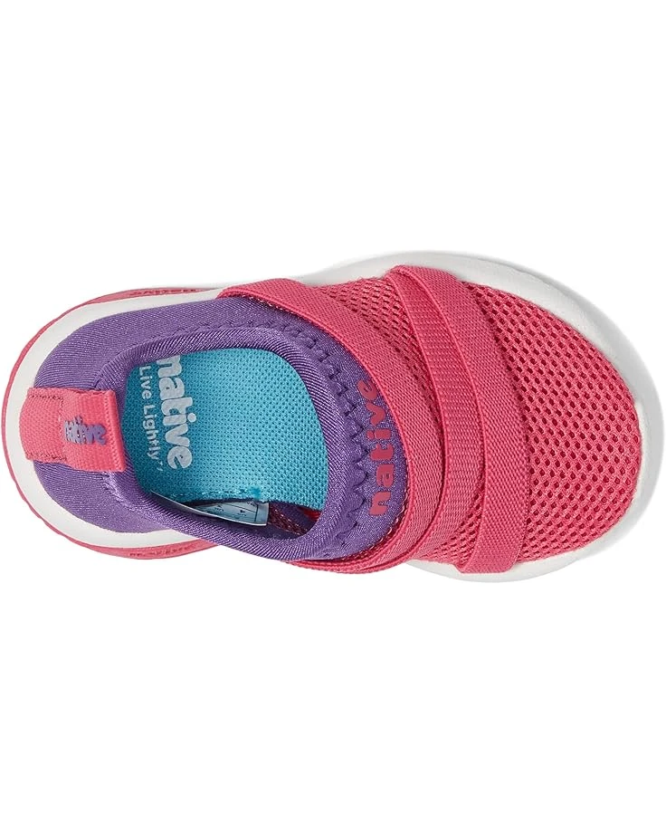 Native Shoes Kids Phoenix (Toddler/Little Kid) | Sneakers & Athletic Shoes - Image 2